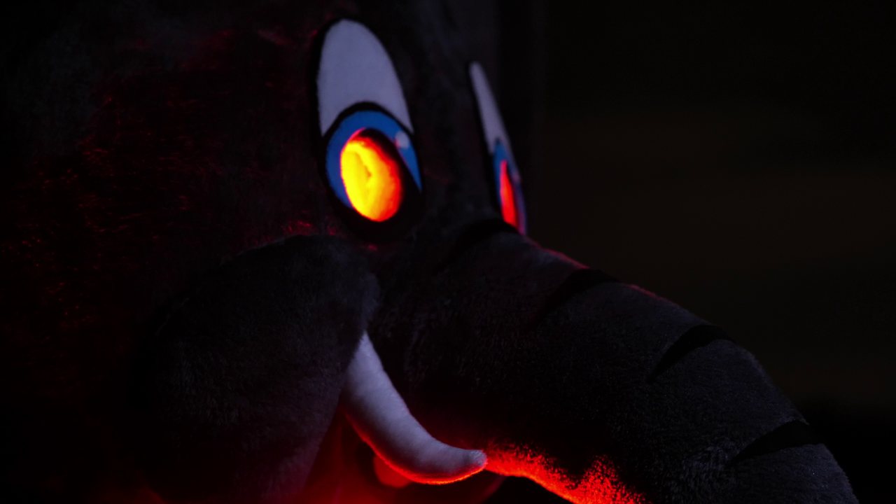 Film de campagne Wild Ember — mascotte éléphant en lumière nocturne